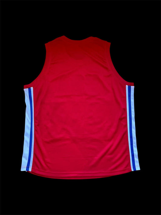 Carl Lewis Track & Field signed USA Custom Jersey