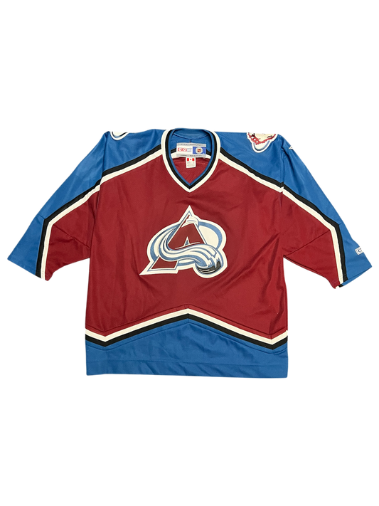 Colorado Avalanche Legend David Aebischer NHL signed Jersey