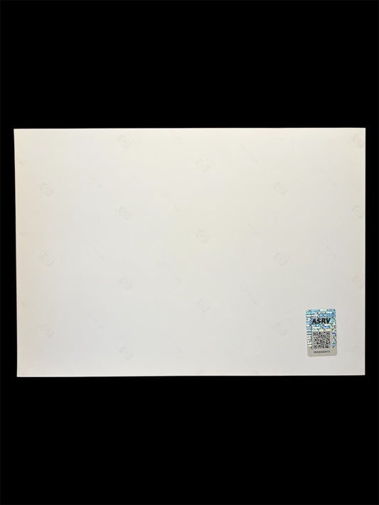 Photography Bicycle Kick signed by Stéphane Chapuisat (210x297mm)