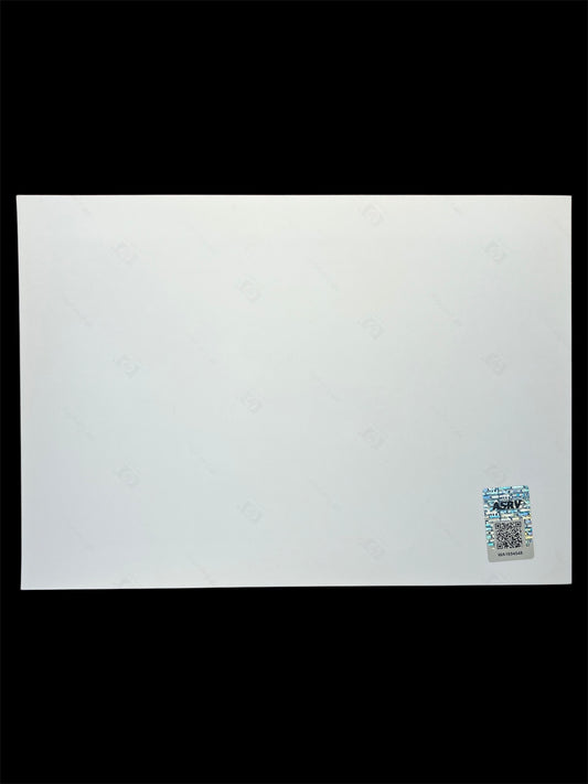 Photography Dortmund Kick signed by Stéphane Chapuisat (210x297mm)