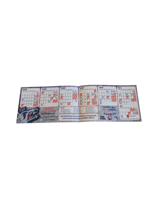 2009 Hartford Wolfpack Mini Program Andres Ambuhl only USA seaon