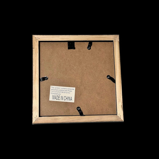 Washington Wizards Kyshawn George NBA signed Rookie Art Frame (180x180mm)