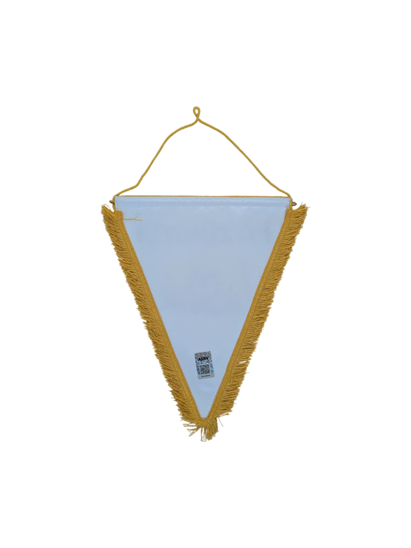 FC Zürich Football Fan Pennant signed by Yanick Brecher