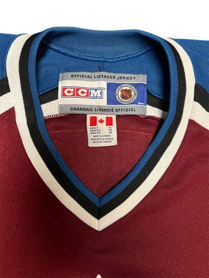 Colorado Avalanche Legend David Aebischer NHL signed Jersey