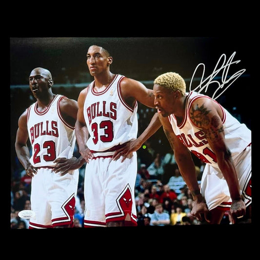 Chicago Bulls Poster signed by Dennis Rodman (280x355mm)