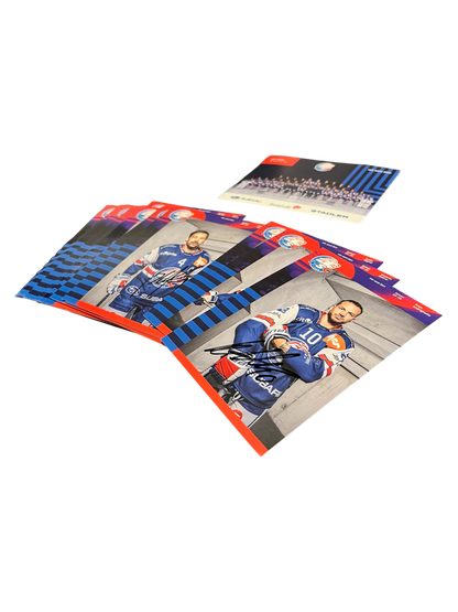 2025-26 NL Auto Cards signed by ZSC Lions Players (31)