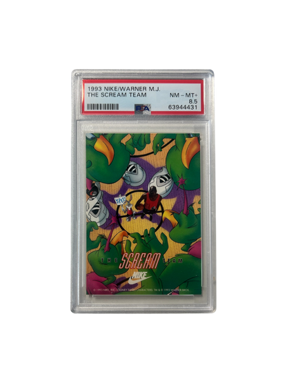 1993 NIKE Warner Bros Michael Jordan The Scream Team