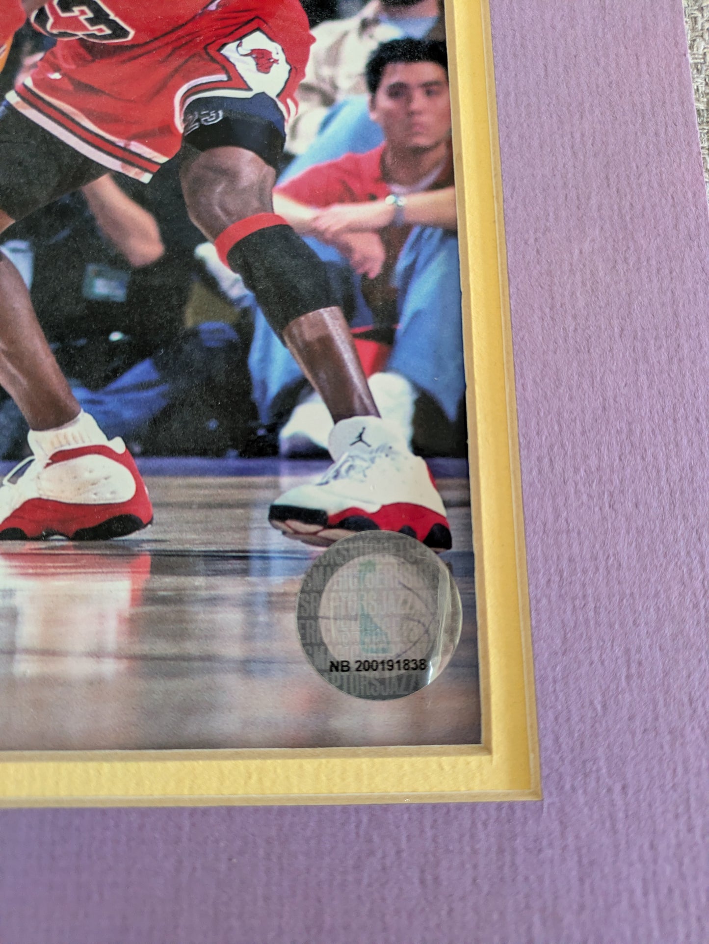 Chicago Bulls Poster signed by Dennis Rodman (280x355mm)