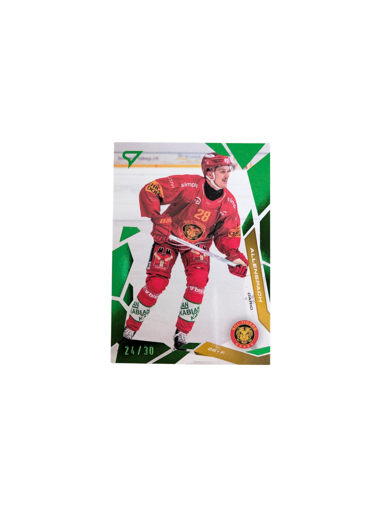 2026 SportZoo National League Langnau Dario Allenspach Green 24/30 card