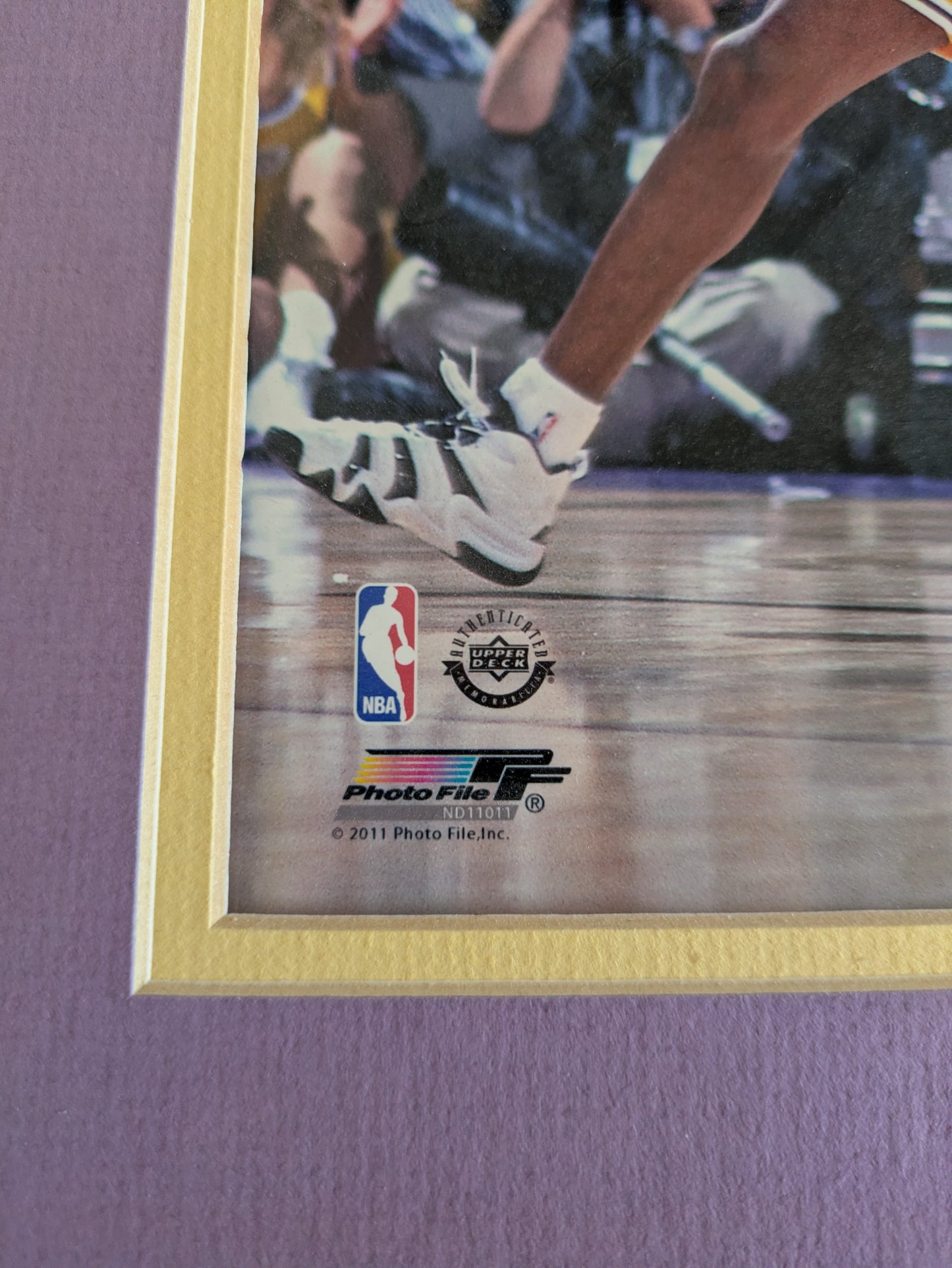 Chicago Bulls Poster signed by Dennis Rodman (280x355mm)