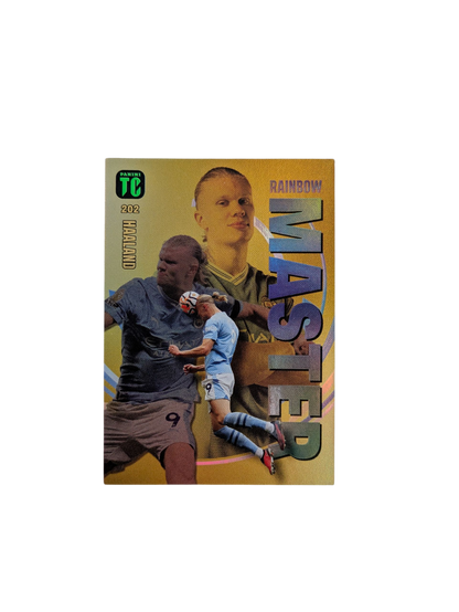 Panini Top Class Manchester City Haaland Rainbow Master #202 Card