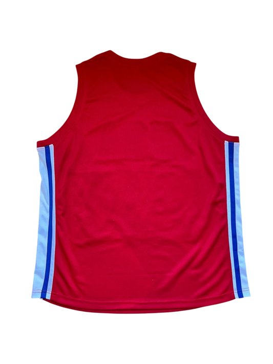 Carl Lewis Track & Filed signed USA Custom Jersey