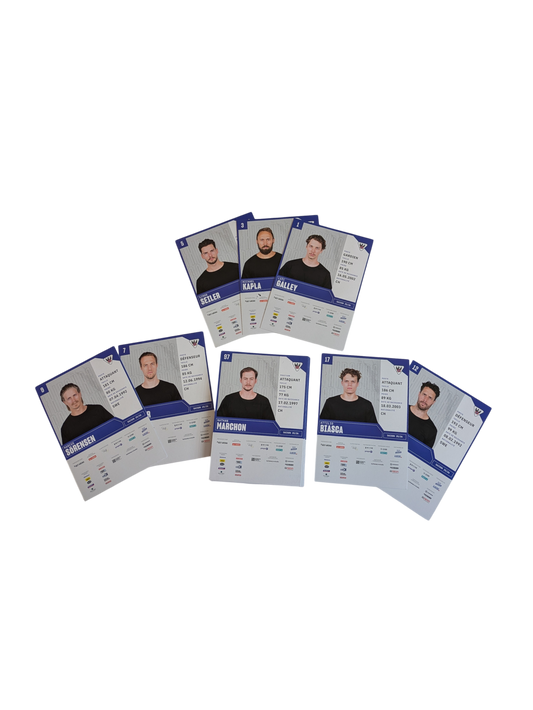 2025-26 NL Auto Cards signed by HC Fribourg-Gottéron Players (25)