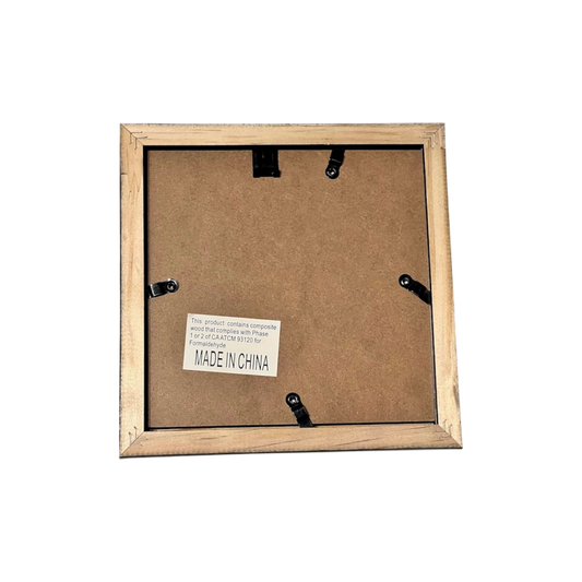 Washington Wizards Kyshawn George NBA signed Rookie Art Frame (180x180mm)