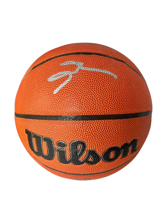 Allen Iverson NBA Wilson signed Basketball