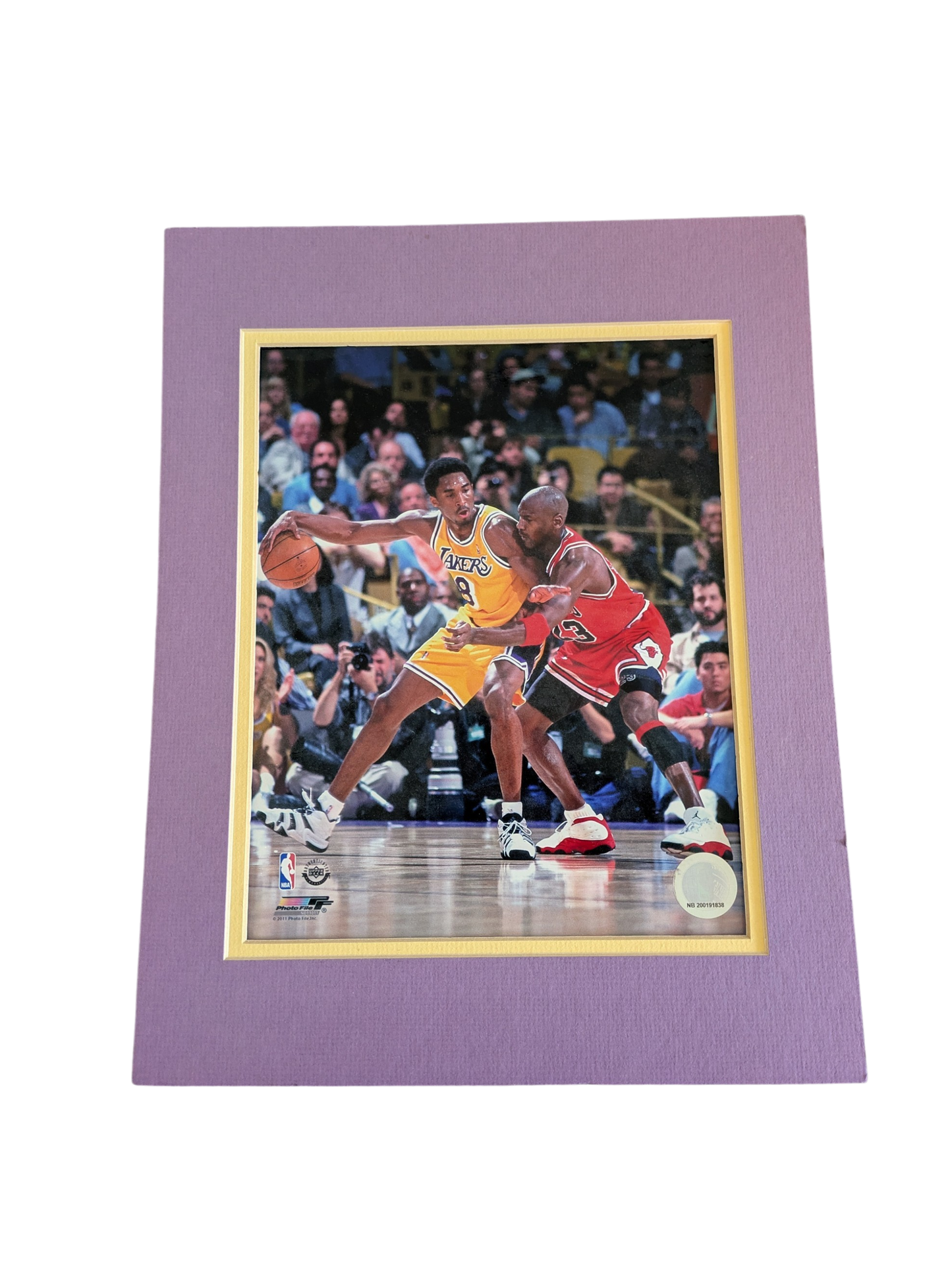 Chicago Bulls Poster signed by Dennis Rodman (280x355mm)